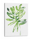 Emerald Tropics Iii - June Erica Vess | Cuadro decorativo de Canvas Lab