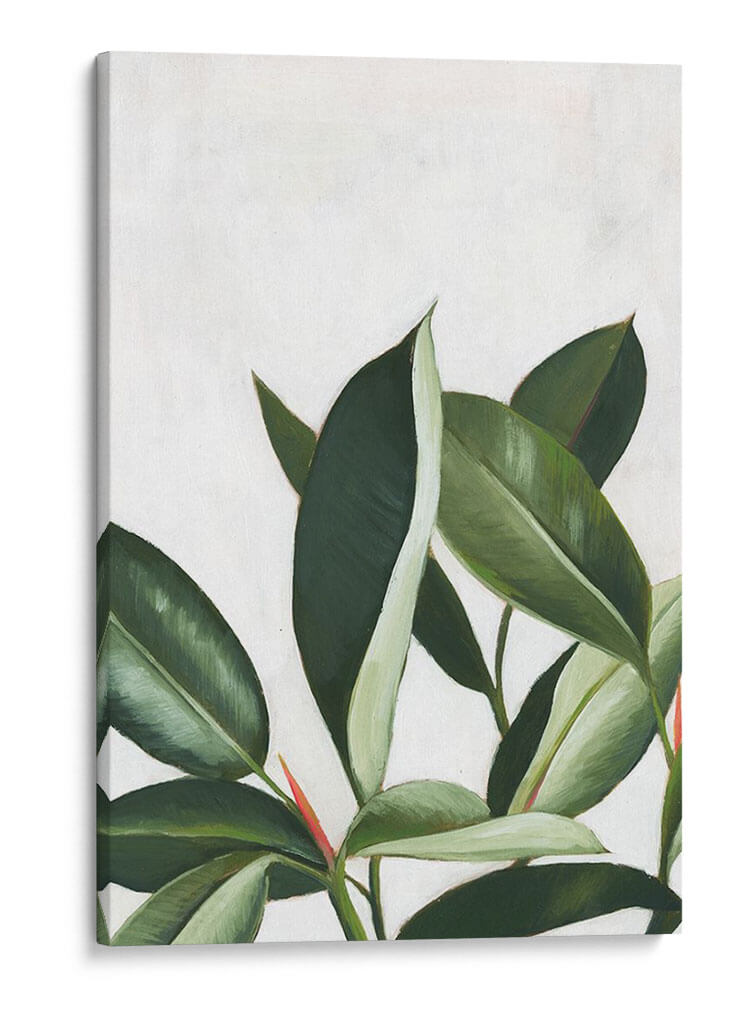 Pura Vida Iv - Grace Popp | Cuadro decorativo de Canvas Lab