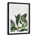 Pura Vida Iv - Grace Popp | Cuadro decorativo de Canvas Lab