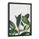 Pura Vida Iv - Grace Popp | Cuadro decorativo de Canvas Lab