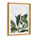 Pura Vida Iv - Grace Popp | Cuadro decorativo de Canvas Lab