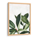 Pura Vida Iv - Grace Popp | Cuadro decorativo de Canvas Lab