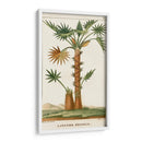 Turpin Palmas Exóticas I - Turpin | Cuadro decorativo de Canvas Lab