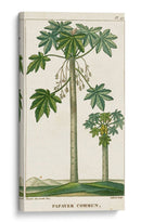 Turpin Exotic Palms Ii - Turpin | Cuadro decorativo de Canvas Lab