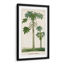 Turpin Exotic Palms Ii - Turpin | Cuadro decorativo de Canvas Lab