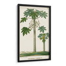 Turpin Exotic Palms Ii - Turpin | Cuadro decorativo de Canvas Lab