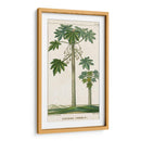 Turpin Exotic Palms Ii - Turpin | Cuadro decorativo de Canvas Lab