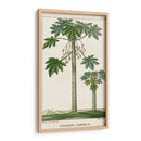 Turpin Exotic Palms Ii - Turpin | Cuadro decorativo de Canvas Lab