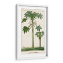 Turpin Exotic Palms Ii - Turpin | Cuadro decorativo de Canvas Lab
