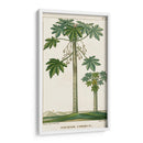 Turpin Exotic Palms Ii - Turpin | Cuadro decorativo de Canvas Lab