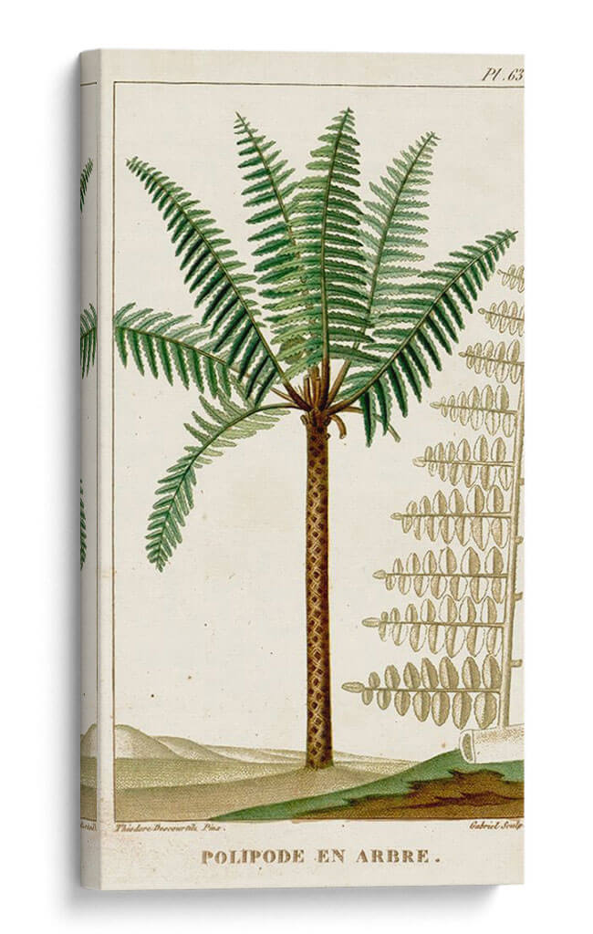 Turpin Exotic Palms Iii - Turpin | Cuadro decorativo de Canvas Lab