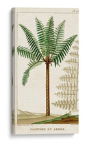 Turpin Exotic Palms Iii - Turpin | Cuadro decorativo de Canvas Lab