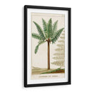 Turpin Exotic Palms Iii - Turpin | Cuadro decorativo de Canvas Lab