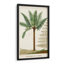 Turpin Exotic Palms Iii - Turpin | Cuadro decorativo de Canvas Lab