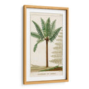 Turpin Exotic Palms Iii - Turpin | Cuadro decorativo de Canvas Lab