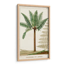 Turpin Exotic Palms Iii - Turpin | Cuadro decorativo de Canvas Lab