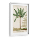 Turpin Exotic Palms Iii - Turpin | Cuadro decorativo de Canvas Lab