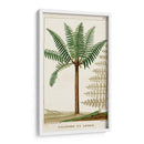 Turpin Exotic Palms Iii - Turpin | Cuadro decorativo de Canvas Lab