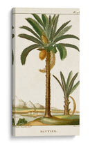 Turpin Exotic Palms Iv - Turpin | Cuadro decorativo de Canvas Lab