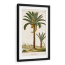 Turpin Exotic Palms Iv - Turpin | Cuadro decorativo de Canvas Lab