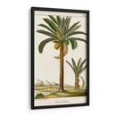 Turpin Exotic Palms Iv - Turpin | Cuadro decorativo de Canvas Lab
