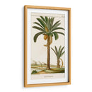 Turpin Exotic Palms Iv - Turpin | Cuadro decorativo de Canvas Lab