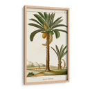 Turpin Exotic Palms Iv - Turpin | Cuadro decorativo de Canvas Lab