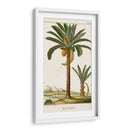 Turpin Exotic Palms Iv - Turpin | Cuadro decorativo de Canvas Lab