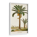 Turpin Exotic Palms Iv - Turpin | Cuadro decorativo de Canvas Lab