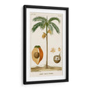 Turpin Exotic Palms V - Turpin | Cuadro decorativo de Canvas Lab