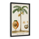 Turpin Exotic Palms V - Turpin | Cuadro decorativo de Canvas Lab