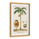 Turpin Exotic Palms V - Turpin | Cuadro decorativo de Canvas Lab