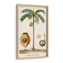 Turpin Exotic Palms V - Turpin | Cuadro decorativo de Canvas Lab