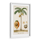Turpin Exotic Palms V - Turpin | Cuadro decorativo de Canvas Lab