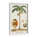 Turpin Exotic Palms V - Turpin | Cuadro decorativo de Canvas Lab
