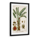 Turpin Exotic Palms Vi - Turpin | Cuadro decorativo de Canvas Lab