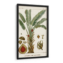 Turpin Exotic Palms Vi - Turpin | Cuadro decorativo de Canvas Lab