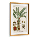 Turpin Exotic Palms Vi - Turpin | Cuadro decorativo de Canvas Lab