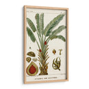 Turpin Exotic Palms Vi - Turpin | Cuadro decorativo de Canvas Lab