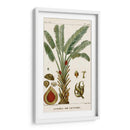 Turpin Exotic Palms Vi - Turpin | Cuadro decorativo de Canvas Lab