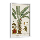 Turpin Exotic Palms Vi - Turpin | Cuadro decorativo de Canvas Lab