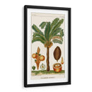 Turpin Exotic Palms Vii - Turpin | Cuadro decorativo de Canvas Lab