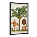 Turpin Exotic Palms Vii - Turpin | Cuadro decorativo de Canvas Lab