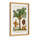 Turpin Exotic Palms Vii - Turpin | Cuadro decorativo de Canvas Lab