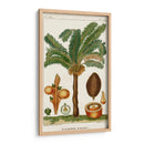 Turpin Exotic Palms Vii - Turpin | Cuadro decorativo de Canvas Lab