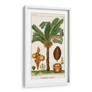 Turpin Exotic Palms Vii - Turpin | Cuadro decorativo de Canvas Lab