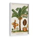 Turpin Exotic Palms Vii - Turpin | Cuadro decorativo de Canvas Lab
