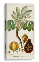 Turpin Exotic Palms Viii - Turpin | Cuadro decorativo de Canvas Lab