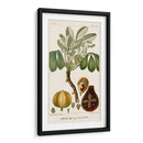 Turpin Exotic Palms Viii - Turpin | Cuadro decorativo de Canvas Lab