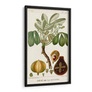 Turpin Exotic Palms Viii - Turpin | Cuadro decorativo de Canvas Lab